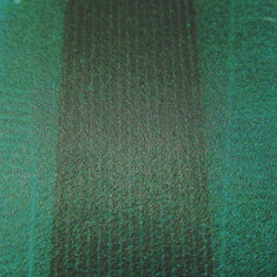 Bande magnétique 30x0,6 mm vert