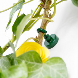 Aimant en pot avec crochet (crochet magnétique), diamètre 25 N vert