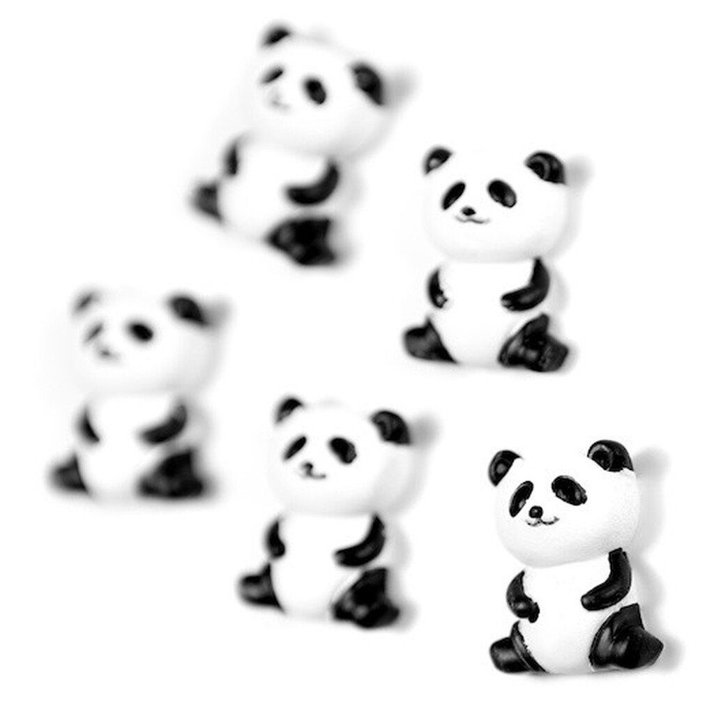 Aimants pour réfrigérateur pandas, 5 pièces